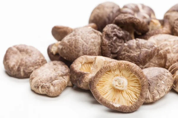 Shiitake Mushrooms — Stock Photo, Image