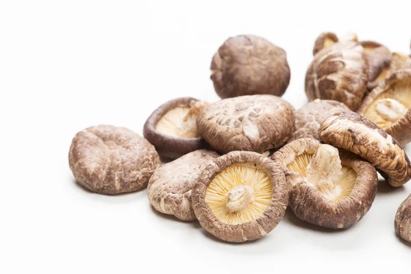 Shiitake Mushrooms — Stock Photo, Image