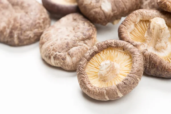 Shiitake Mushrooms — Stock Photo, Image