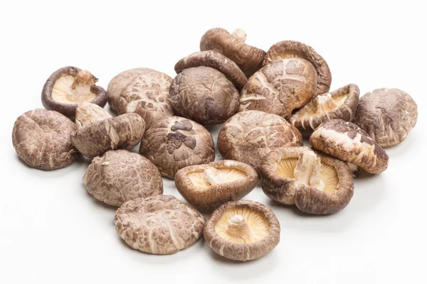 Cogumelos shiitake — Fotografia de Stock