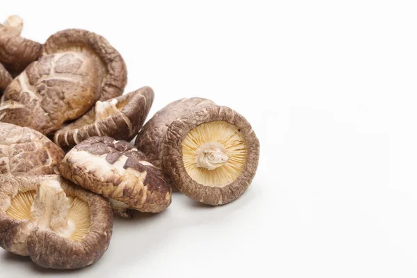 Ciuperci shiitake — Fotografie, imagine de stoc
