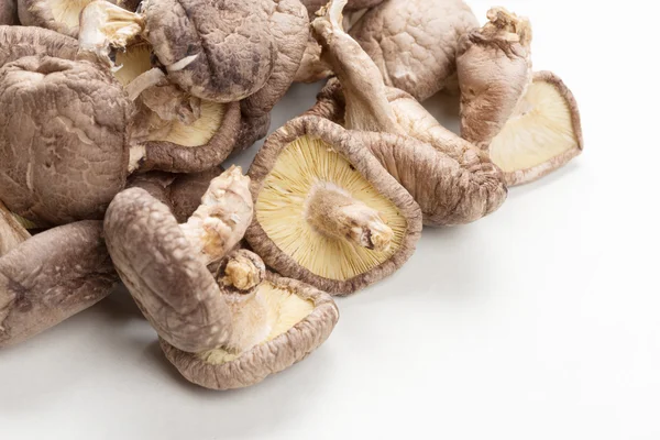 Shiitake Mushrooms — Stock Photo, Image