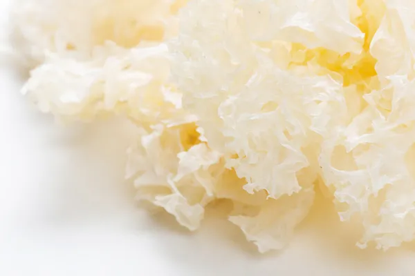 Tremella — Stockfoto