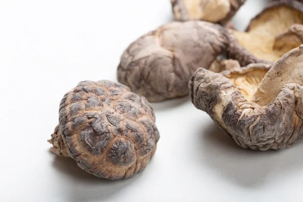 Shiitake Mushrooms — Stock Photo, Image