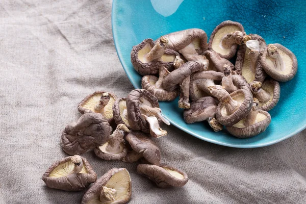 Shiitake gomba — Stock Fotó