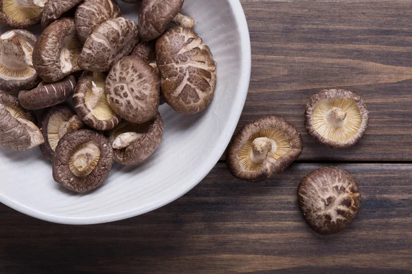 Funghi Shiitake — Foto Stock