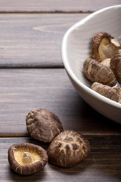 Shiitake mantarları — Stok fotoğraf