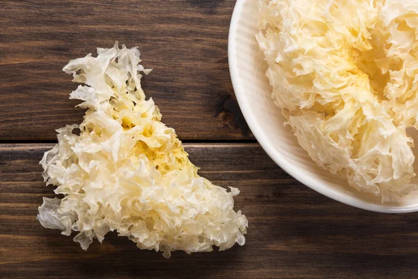 Tremella — Stok fotoğraf