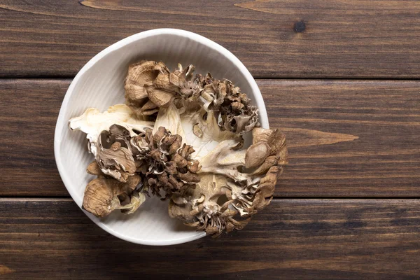 Mushroom — Stock Photo, Image