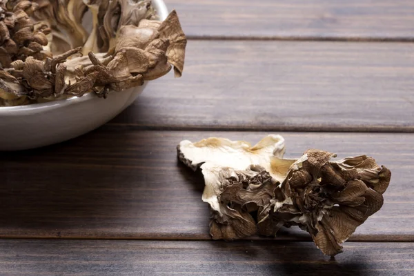 Mushroom — Stock Photo, Image