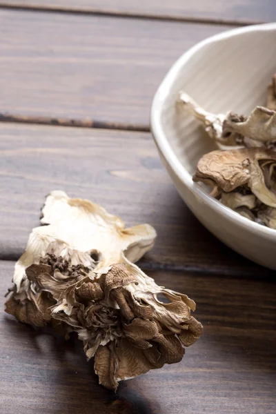 Mushroom — Stock Photo, Image