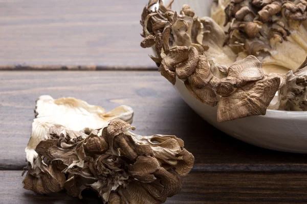 Mushroom — Stock Photo, Image