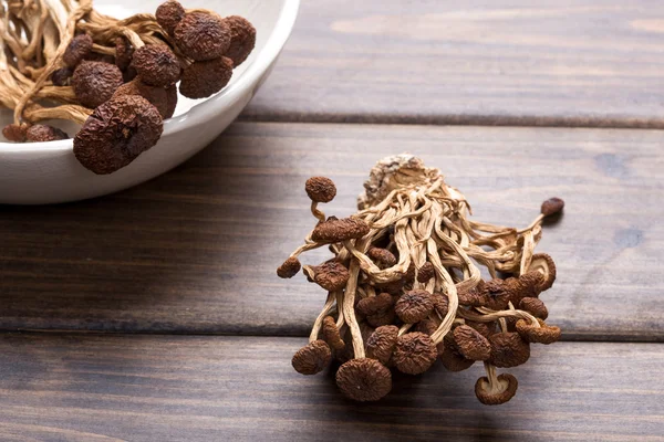 Brown tea tree mushrooms — Stock Photo, Image