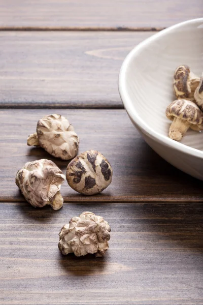 Shiitake gomba — Stock Fotó