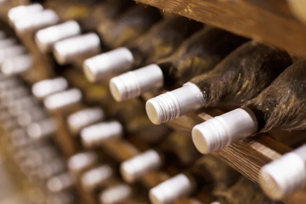 Adega cheia de garrafas de vinho — Fotografia de Stock