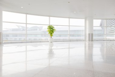 büyük pencere içine beyaz ofis 