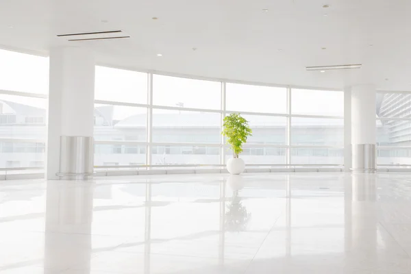 Großes Fenster ins weiße Büro — Stockfoto