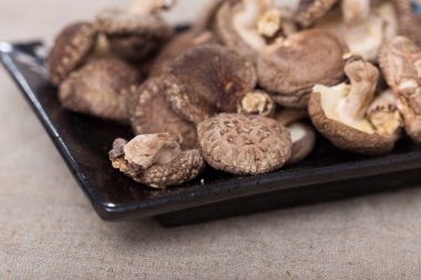 shiitake mantarları