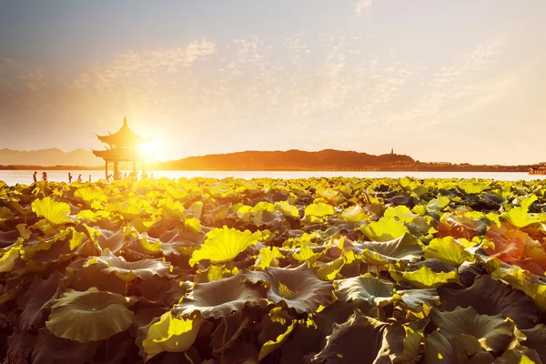 日落时分，杭州的西湖的景色 — 图库照片