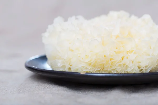 Tremella — Stock fotografie