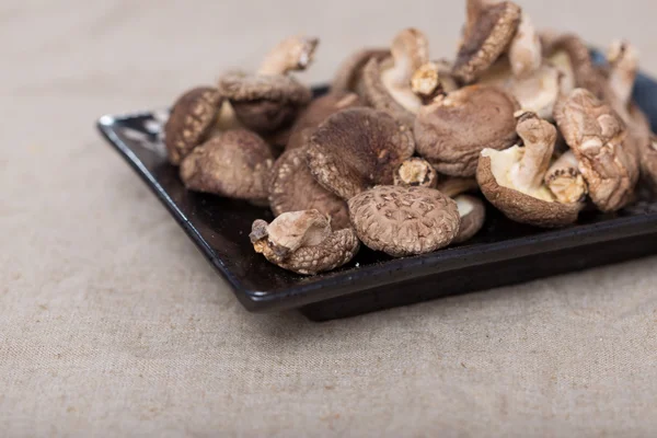 Shiitake Mushrooms — Stock Photo, Image