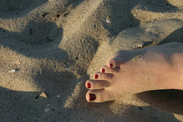 Jalka hiekassa — kuvapankkivalokuva