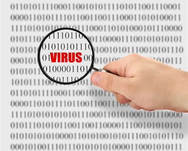 Searching for a computer virus — Stock Photo, Image