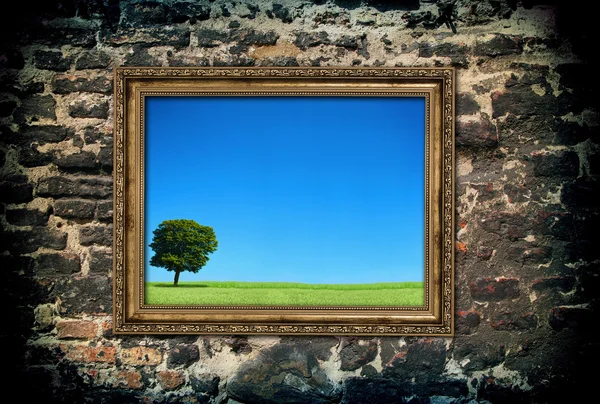 Golden wooden frame with beautiful landscape — Stock Photo, Image