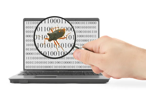 Searching for computer bug — Stock Photo, Image