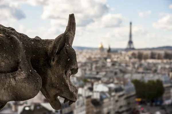 Chimera su Notre Dame di Parigi — Foto Stock