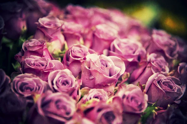 Kleurrijke grunge rozen — Stockfoto