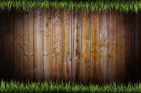 Frame of grass — Stock Photo, Image