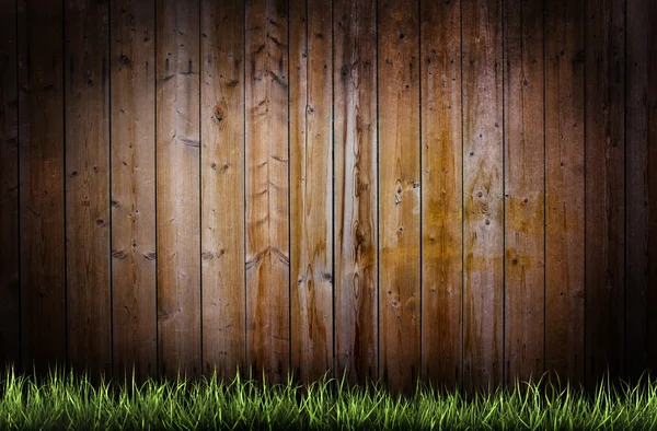 Erba su uno sfondo di legno — Foto Stock