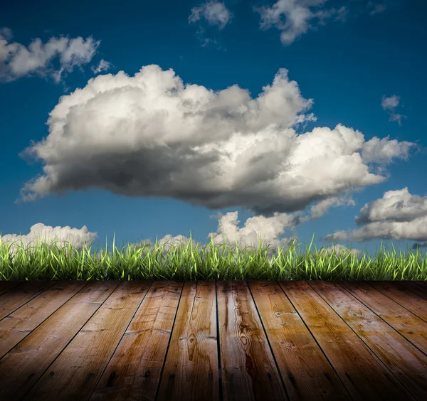 Grama e nuvens — Fotografia de Stock