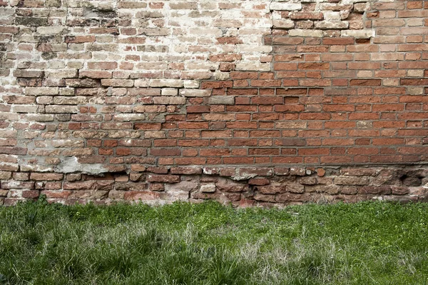 Tuğla duvar ve çim — Stok fotoğraf