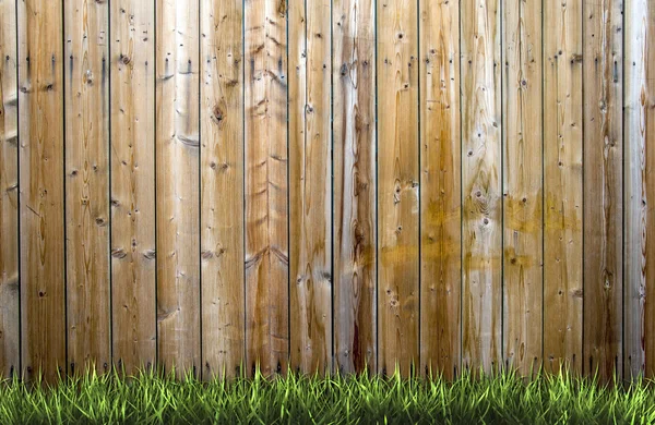 Gräs och trä — Stockfoto