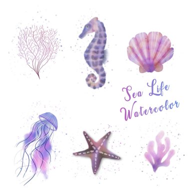 Deniz yaşamı suluboya toplama vektörü