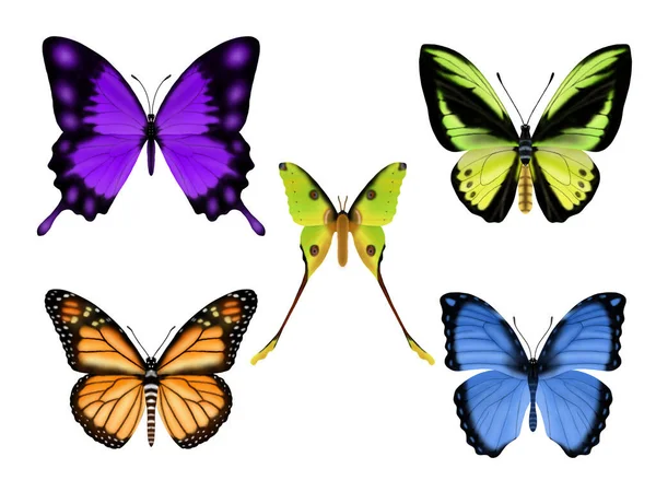 Set Van Prachtige Kleurrijke Vlinders — Stockfoto
