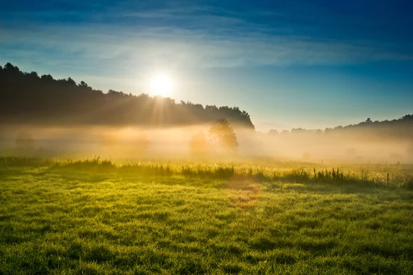 Lever de soleil sur le champ brumeux — Photo