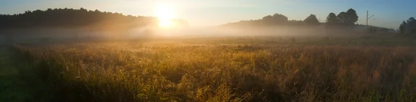 Soluppgång över fältet dimmiga — Stockfoto