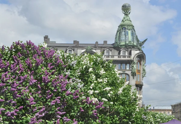 Kitaplar, ev karşı leylak saint petersburg.