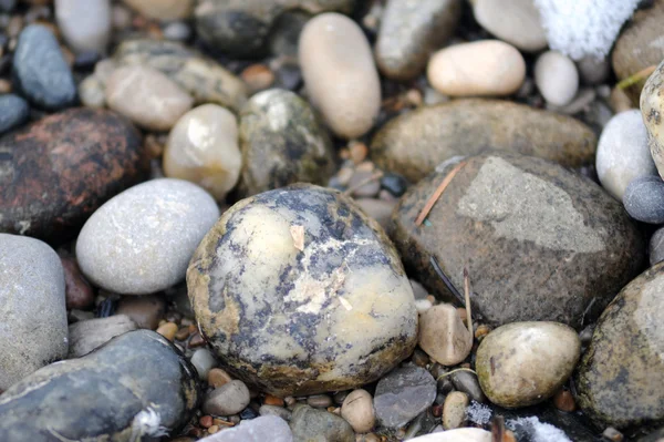 Pebbles — Stock Photo, Image