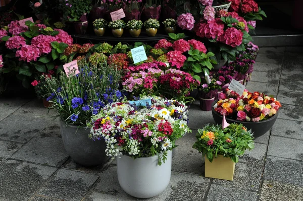 Negozio di fiori — Foto Stock