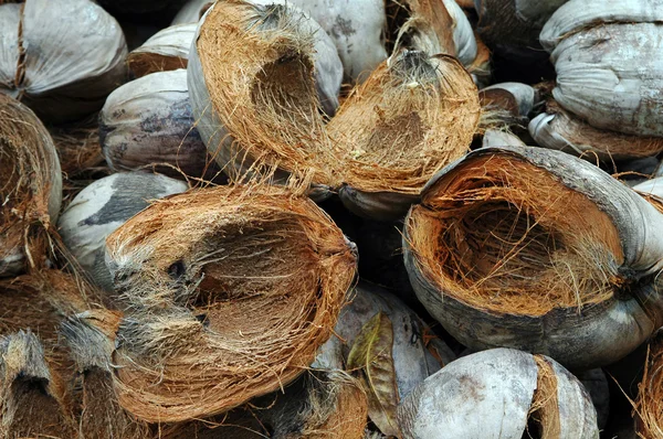 Kokosnussschalen — Stockfoto