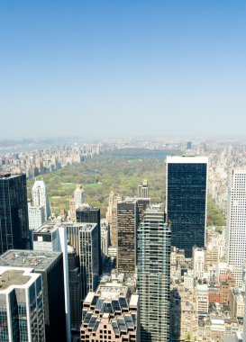 New York Şehri