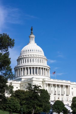 Birleşik Devletler Kongre Binası, Washington, DC