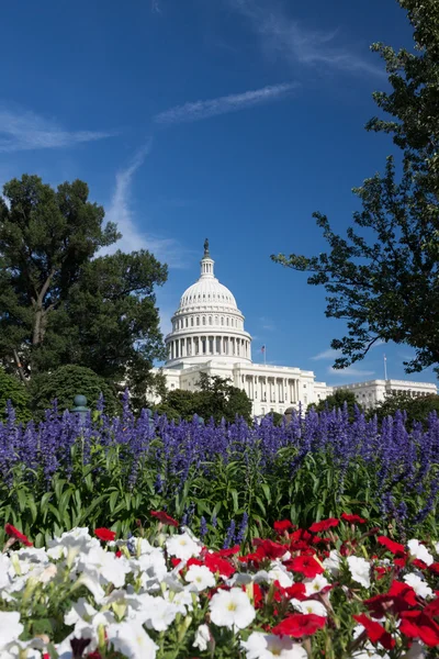 Kapitol der Vereinigten Staaten, Washington, DC — Stockfoto