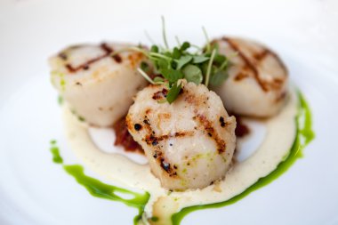 Deniz tarağı taze otlar ile