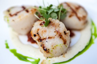 Deniz tarağı taze otlar ile