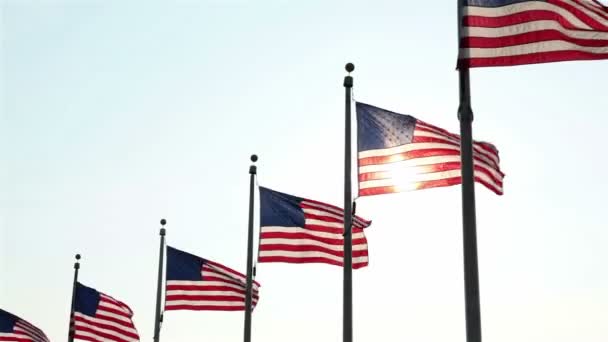 Vlaggen rond de washington monument — Stockvideo